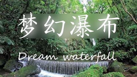救援瓢虫宝宝