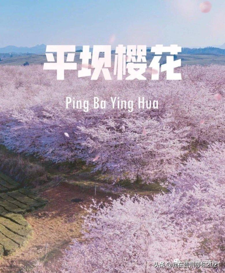 家乡的麻烦