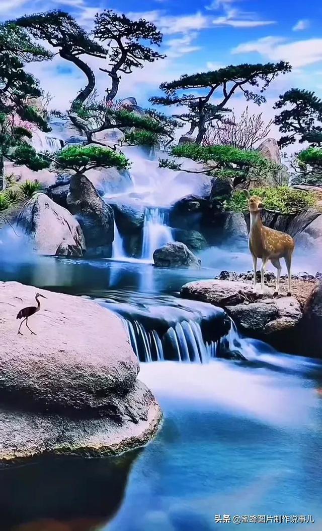 妙鸭相机app下载官网